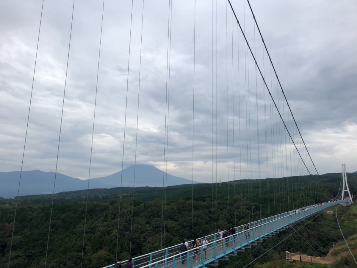 三島スカイウォーク

予想以上に揺れて怖かったー