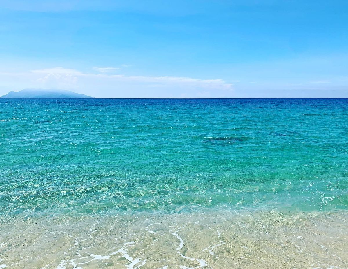 縄文杉までは往復22kmのトレッキング！道中のウィルソン株は中に入り下から...