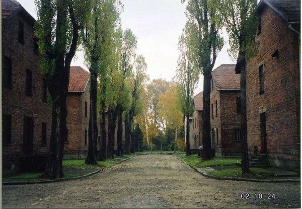 ポーランド・ワルシャワ「2002年 EU加盟前のポーランド　悲しきポーランドの歴史とアウシュビッツ強制収容所」の写真：皮肉にも美しい