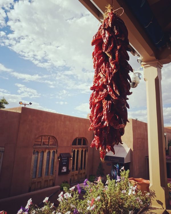 アメリカ(米国)・サンタフェ、テントロックス「ニューメキシコ・サンタフェ」の写真：サンタフェといえばチリ🌶カラフルだしこの...