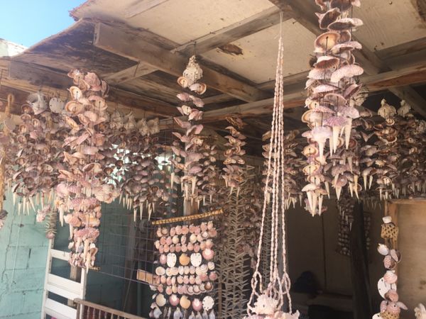 メキシコ・メキシコ、プエルトペニャスコ「メキシコ・プエルトペニャスコ」の写真：プエルトペニャスコの街中散策！その2