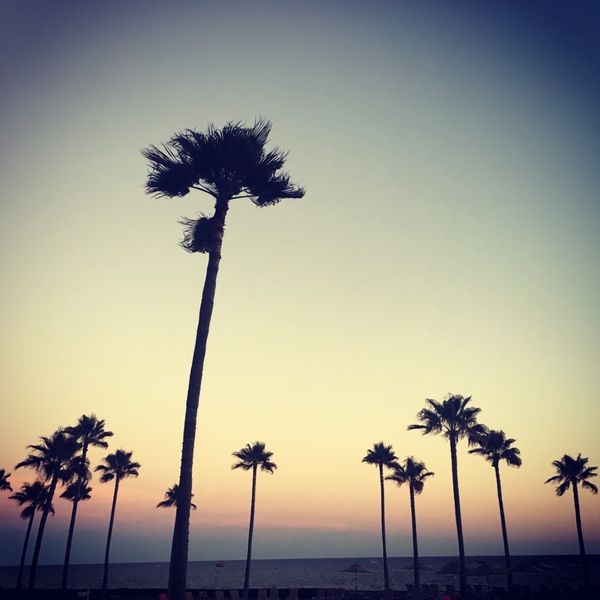 メキシコ・メキシコ、プエルトペニャスコ「メキシコ・プエルトペニャスコ」の写真：ビーチとホテルのプール🏖