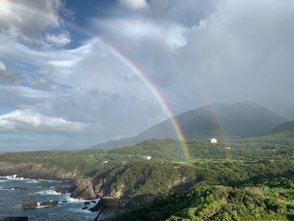 日本・屋久島「yakushima」の写真