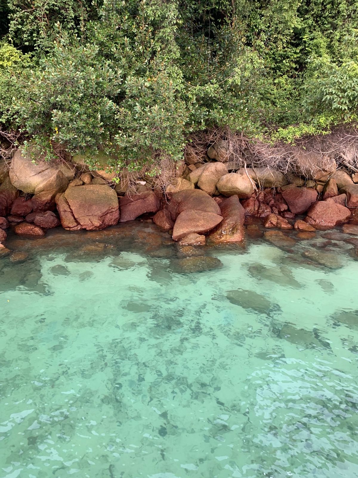 海もキレイでプールもステキでした♡