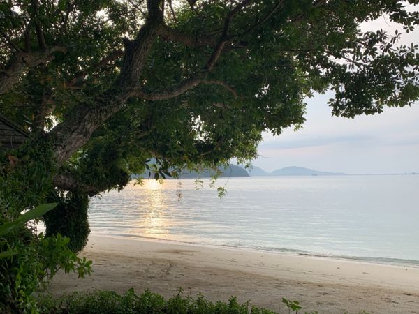 マレーシア・マレーシア、パンコールラウ島「マレーシア・パンコールラウ島」の写真：朝の雰囲気もまたステキでした✨朝食に食べ...