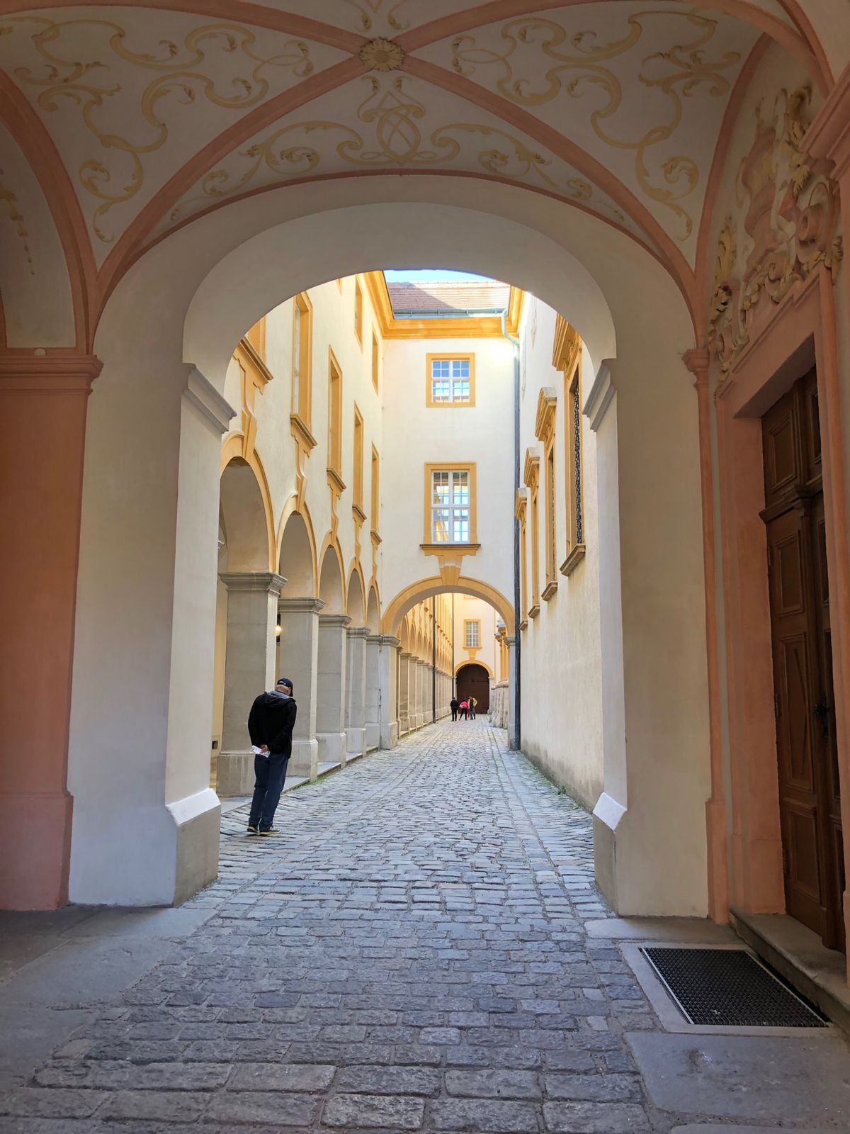 2日目はオプショナルツアー！
QBB鉄道に乗って、メルク〜デュルンシュタイ...