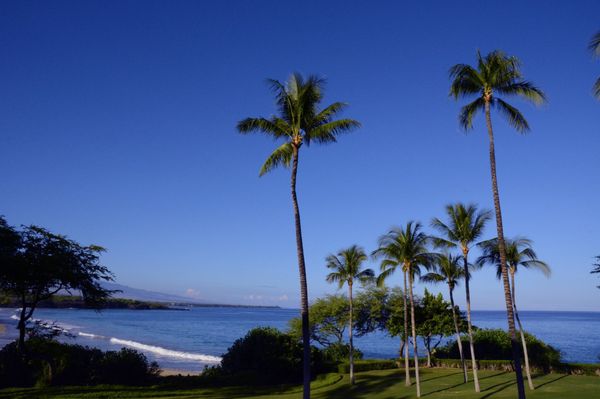 アメリカ(米国)・ハワイ島「Big island」の写真