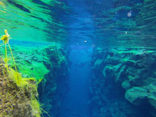 アイスランド「2019summer_lceland」の写真：シルフラでシュノーケリング。水温２℃の世...