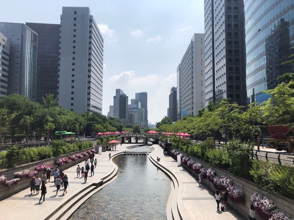 大韓民国 (韓国)・ソウル「ソウル」の写真：清渓川がきれいだったので！あとは今流行り...