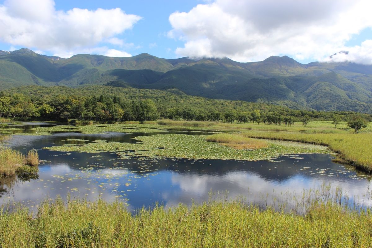 知床五湖の美しさ