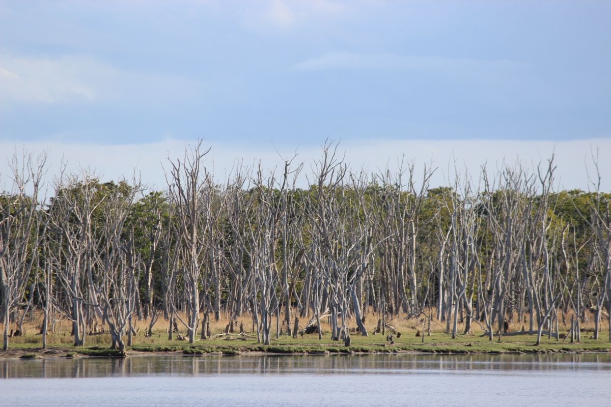 野付半島
この世の果て