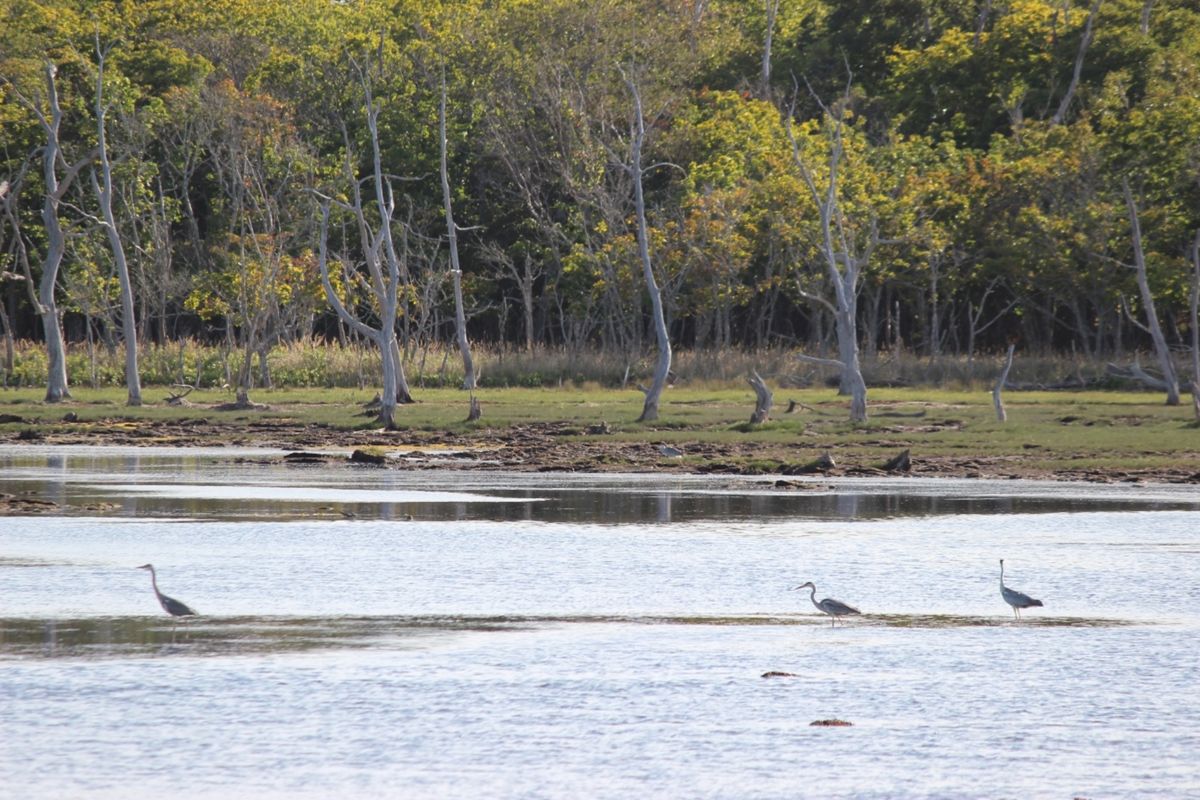 野付半島
この世の果て