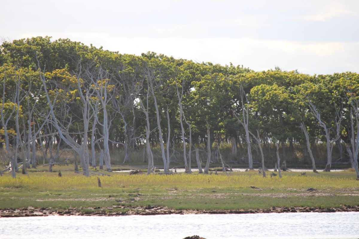 野付半島
この世の果て