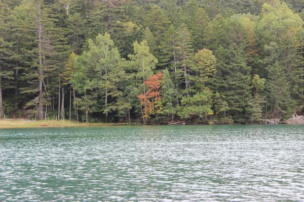 日本・知床「北海道 知床 阿寒・摩周湖の旅」の写真：オンネトー