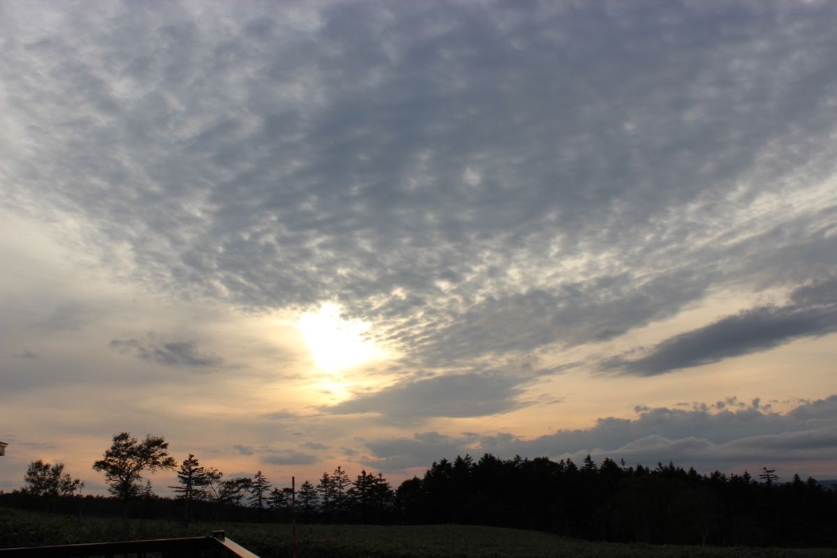 美幌峠と屈斜路湖
大地に沈む夕陽がきれい