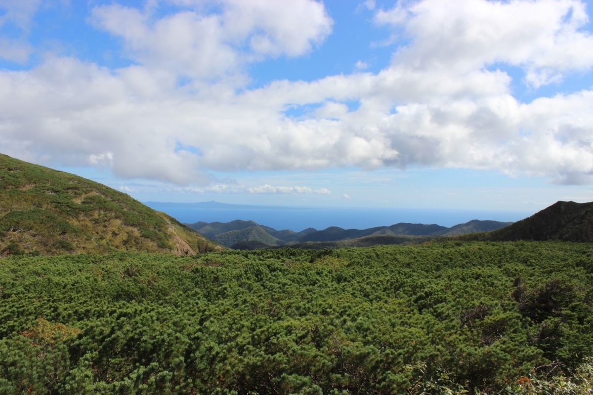 知床峠
国後島がすぐそこに