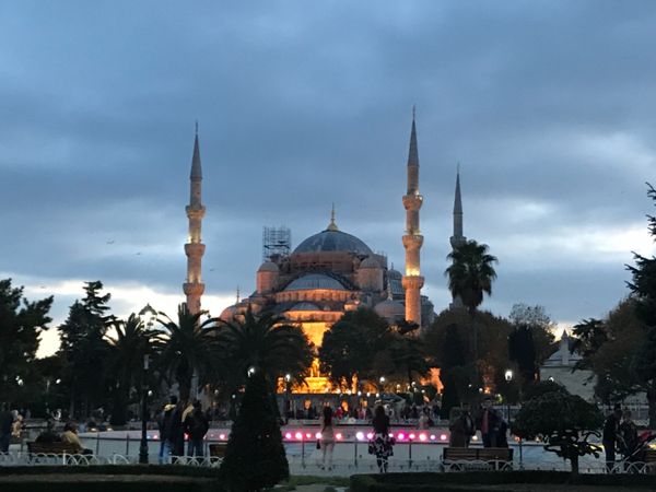 トルコ・イスタンブール「トルコ カッパドキアとイスタンブールの旅」の写真：ブルーモスクとアヤソフィア