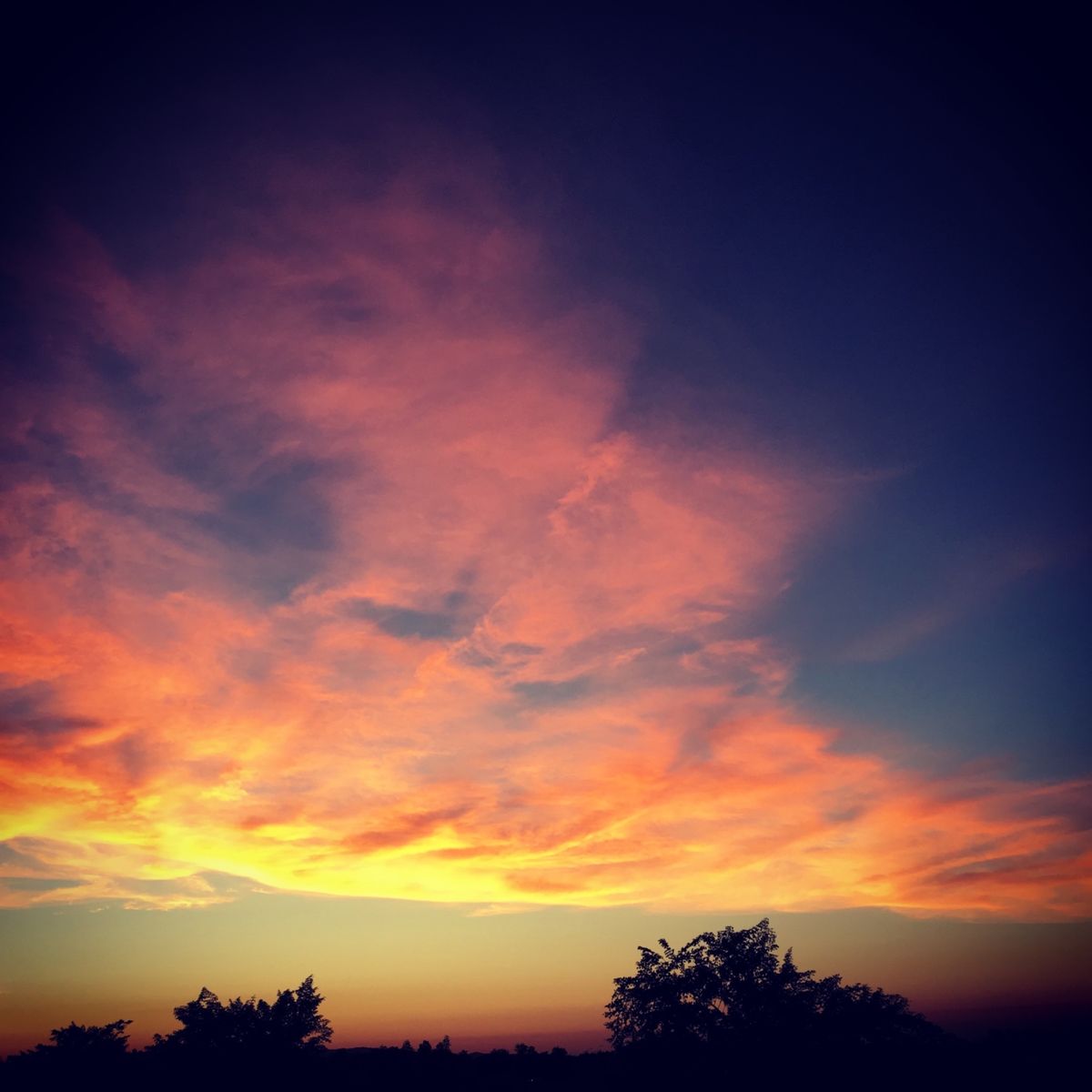 アリゾナの夕陽は本当に素晴らしいです！夏は50度を超える日があるので暑いで...