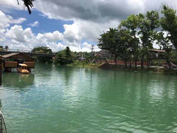 フィリピン・セブ島「セブ島とボホール島の旅」の写真：ボホール島のリバークルーズ
