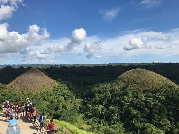 フィリピン・セブ島「セブ島とボホール島の旅」の写真：ボホール島のチョコレートヒルズ