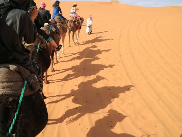 モロッコ・シャウエン、メルズーガ、カサブランカ、フェズ「モロッコ🇲🇦憧れのサハラ砂漠」の写真：メルズーガの1日ツアー。憧れの砂丘が見れ...