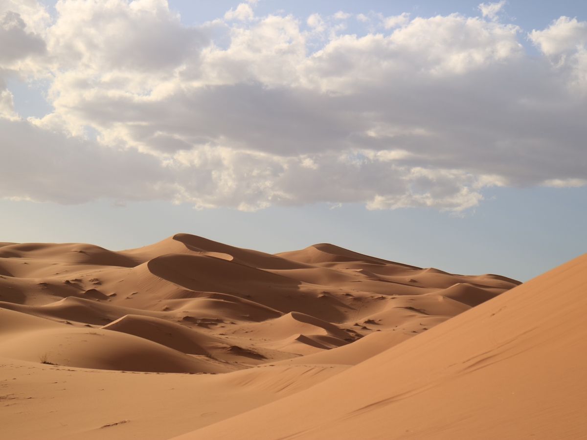 メルズーガの1日ツアー。憧れの砂丘が見れて来て良かったとホントに思いました。