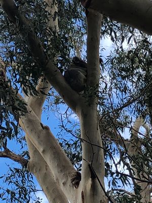 Melbourne 
