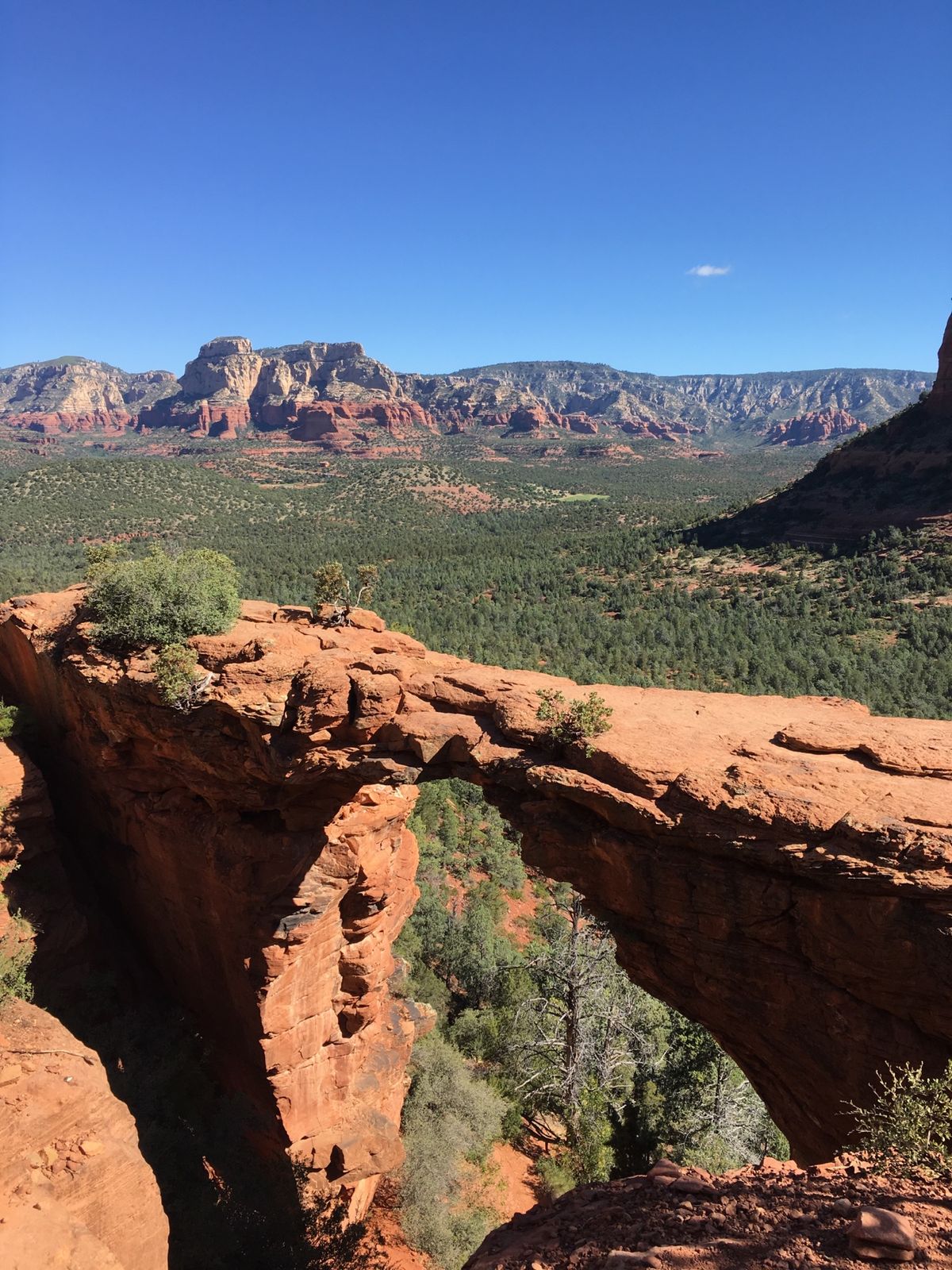 デビルズブリッジへのトレッキング！後半少しハードだけど景色を見たら疲れなん...