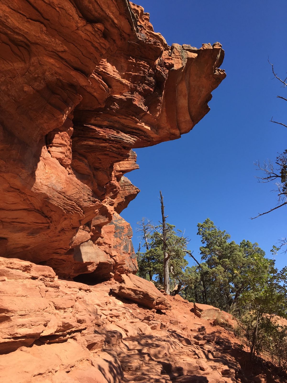 デビルズブリッジへのトレッキング！後半少しハードだけど景色を見たら疲れなん...
