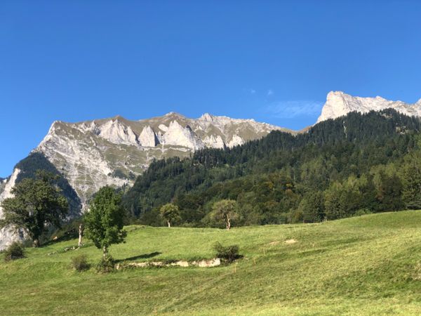 スイス・チューリッヒ「スイスの旅」の写真：アルプスの少女聖地巡り
