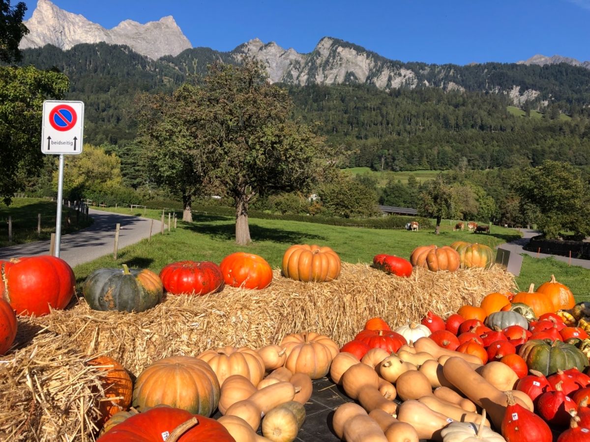 アルプスの少女聖地巡り
