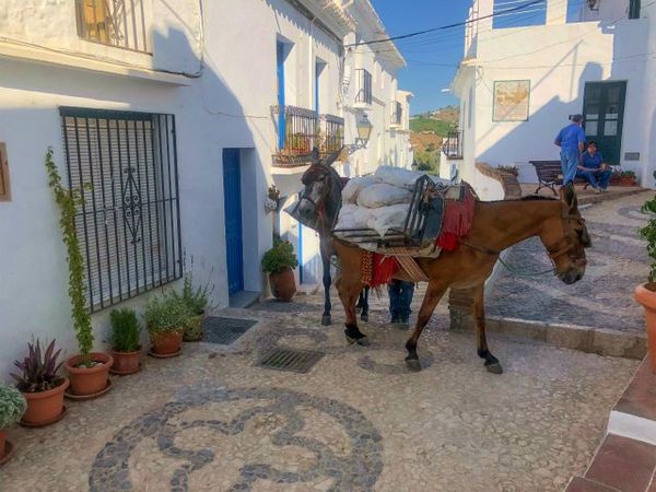 スペイン「スペイン」の写真：白い村「フリヒリアナ」
