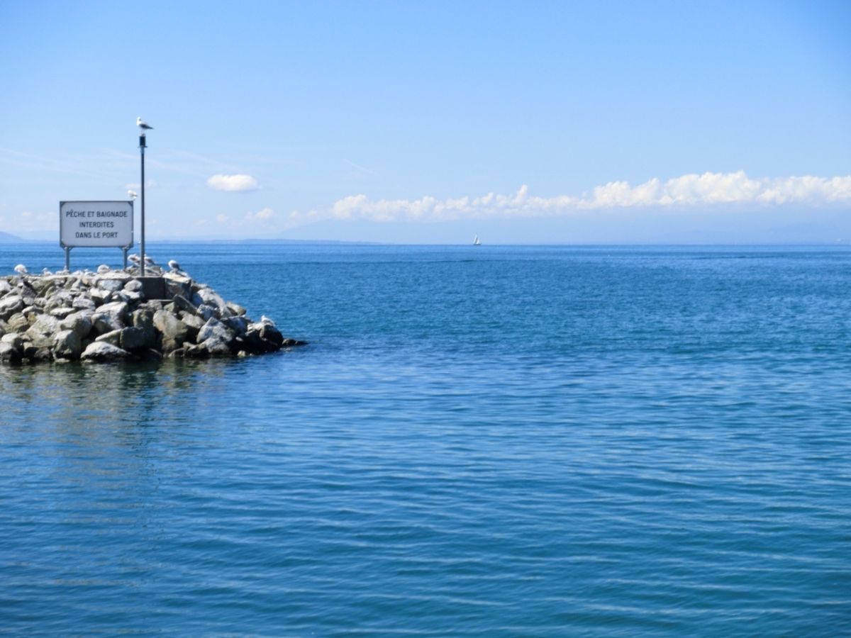 晴れたレマン湖は最高！