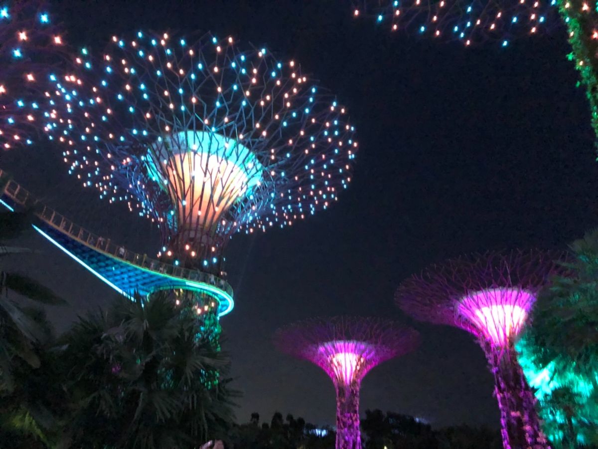 とりあえずチキンライスいっぱい食べたな。プールも入れたし良かった。