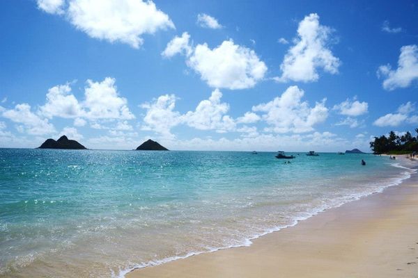 アメリカ(米国)・ホノルル「ハワイ」の写真