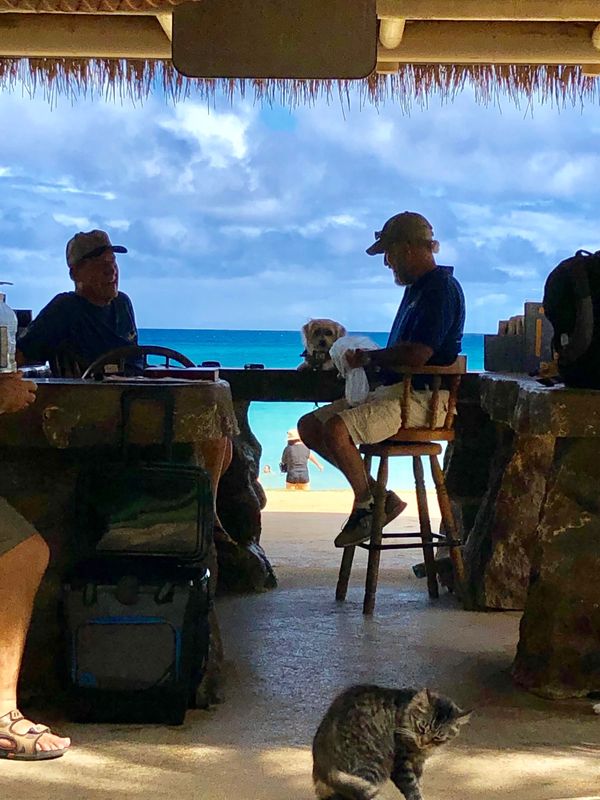 アメリカ(米国)・ホノルル「First Hawaii 」の写真：ハナウマ湾
ワイキキからクルマで約30...