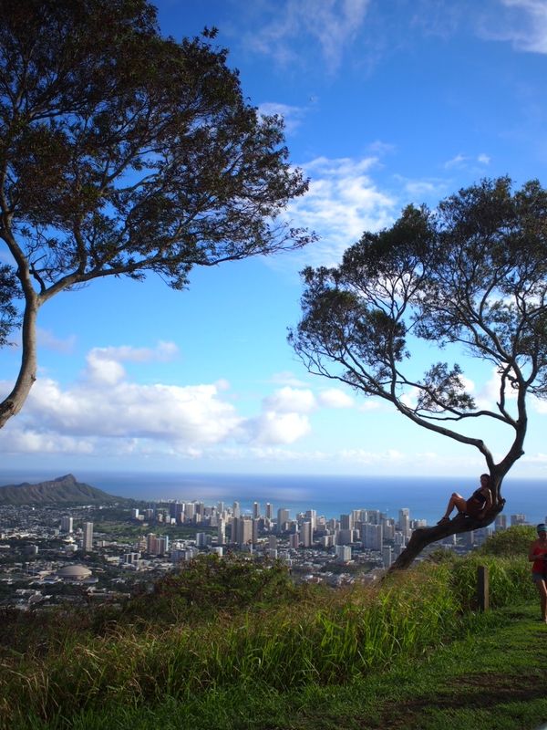 アメリカ(米国)・ホノルル「First Hawaii 」の写真：タンタラスの丘展望台
ダイアモンドヘッ...