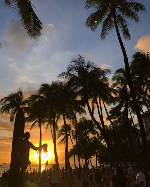 アメリカ(米国)・ホノルル「First Hawaii 」の写真：デュークカハナモク像のシルエットを綺麗に...