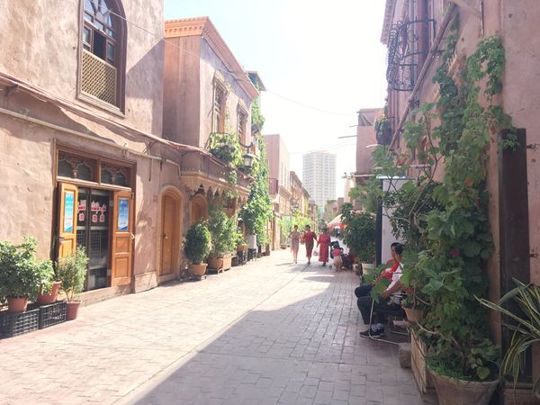 中国・敦煌「シルクロードの旅」の写真