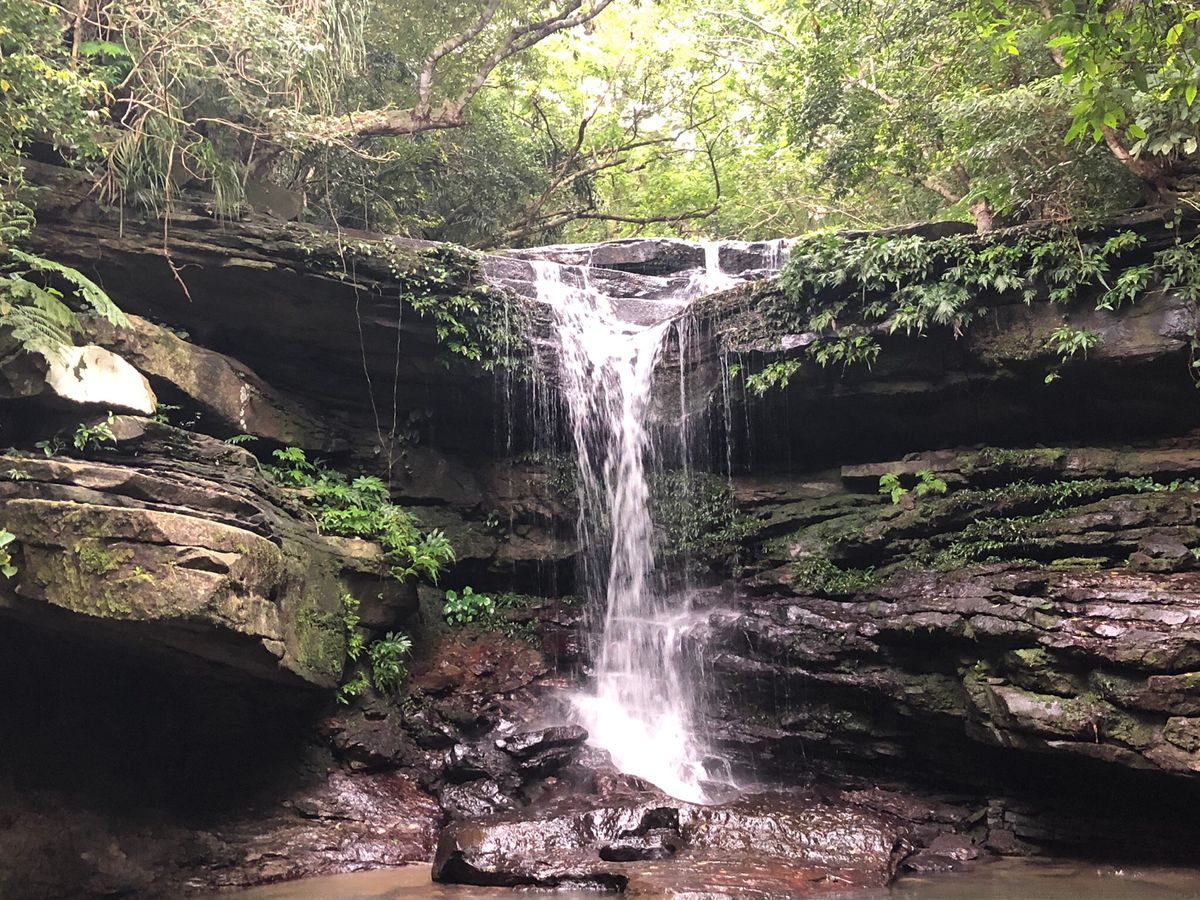 川平湾と西表島の星野リゾート。マングローブのSAPも楽しかった。