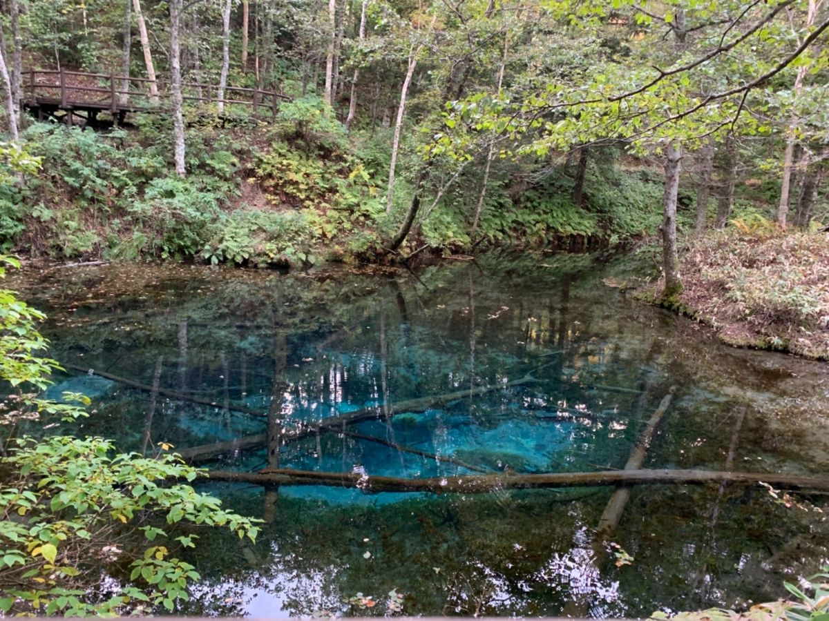 知床岬→神の子池→ポンホロ沼→知床五湖(高架木道)