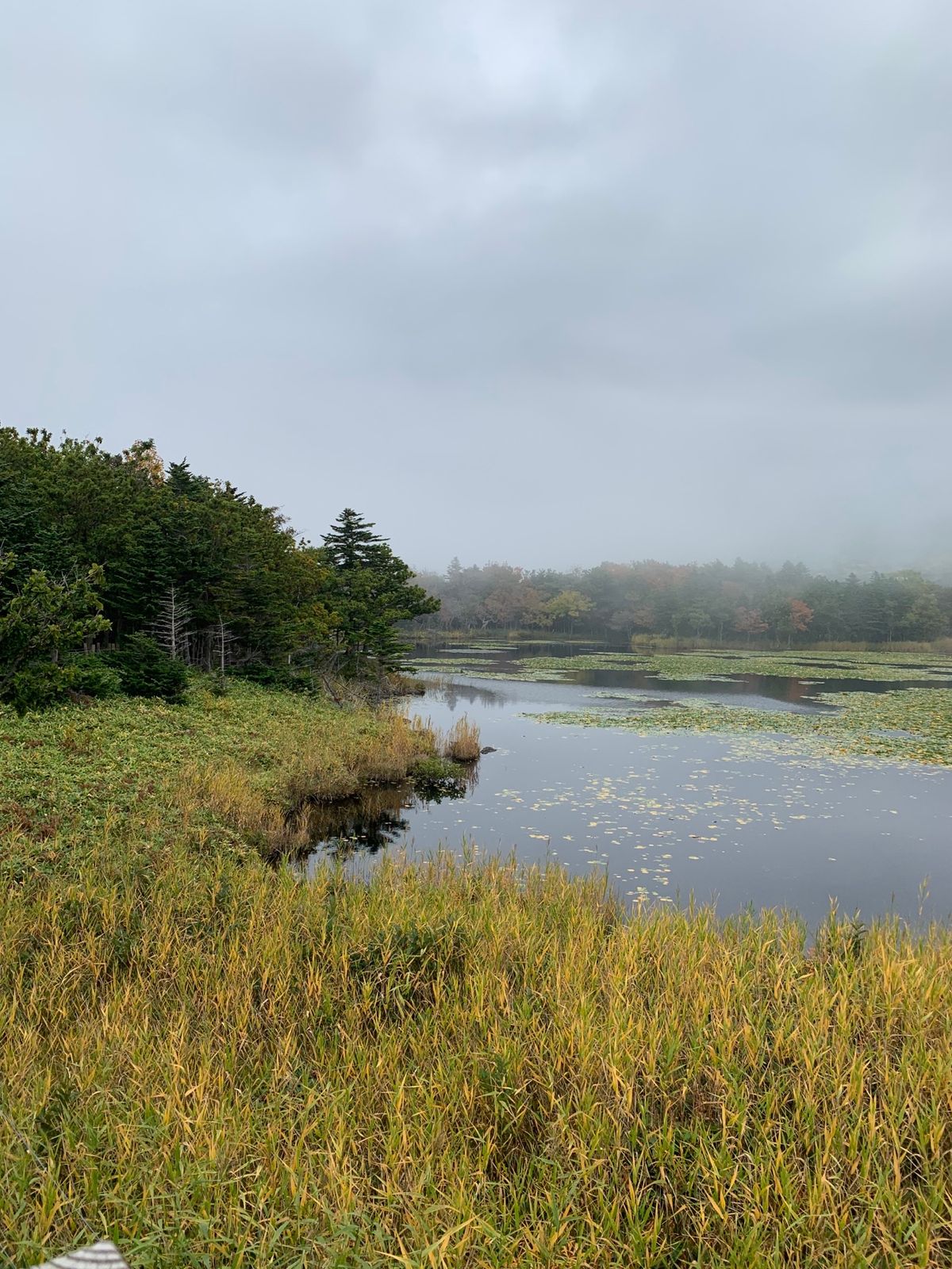 知床岬→神の子池→ポンホロ沼→知床五湖(高架木道)