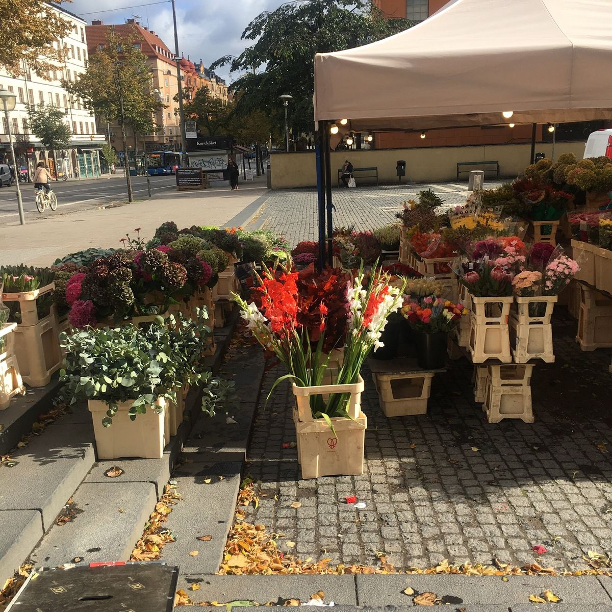ストックホルム市立図書館
Stockholms stadsbibliotek
