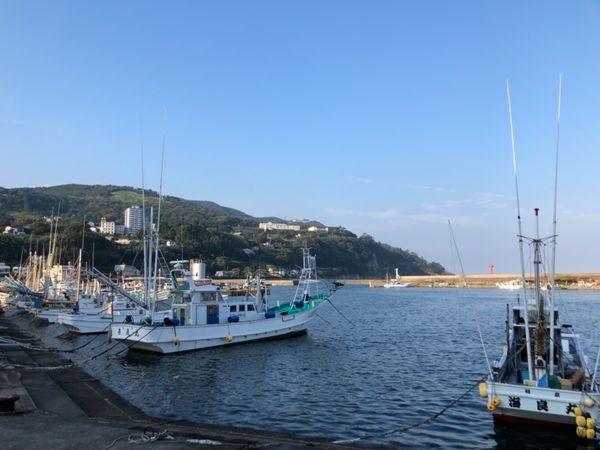 日本・東伊豆「東伊豆 #東伊豆PR」の写真