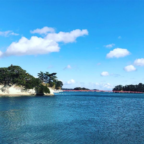 日本・松島「宮城」の写真：景色も良いし食べ物も美味しい！