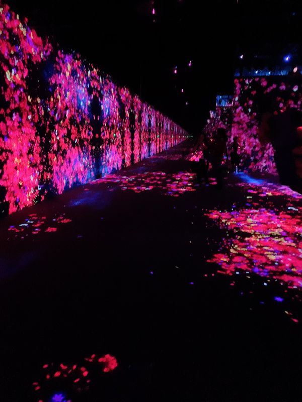 日本・TDL「東京 in Team Lab, TDL」の写真：Team Labまた行きたいっ😚
やっぱ...