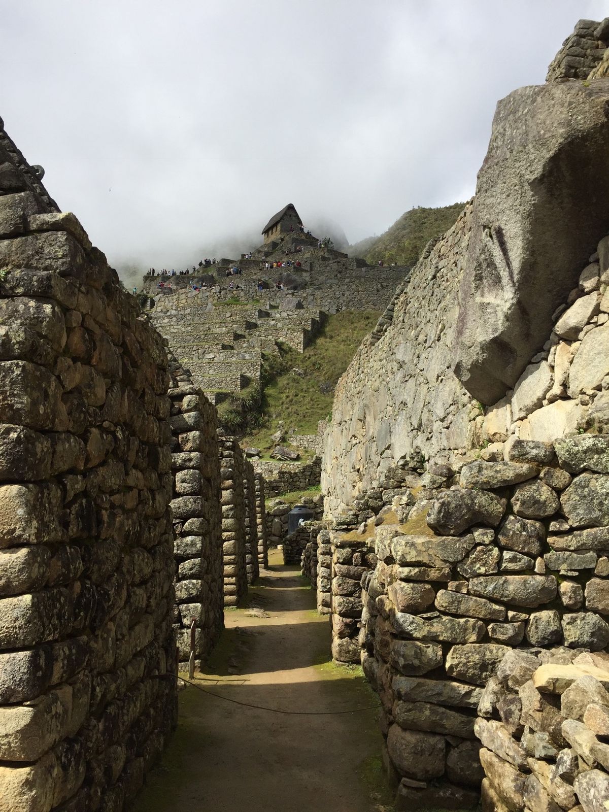 マチュピチュに辿り着くまでが大変だけど行ってしまえば疲れが吹っ飛ぶぐらい広...