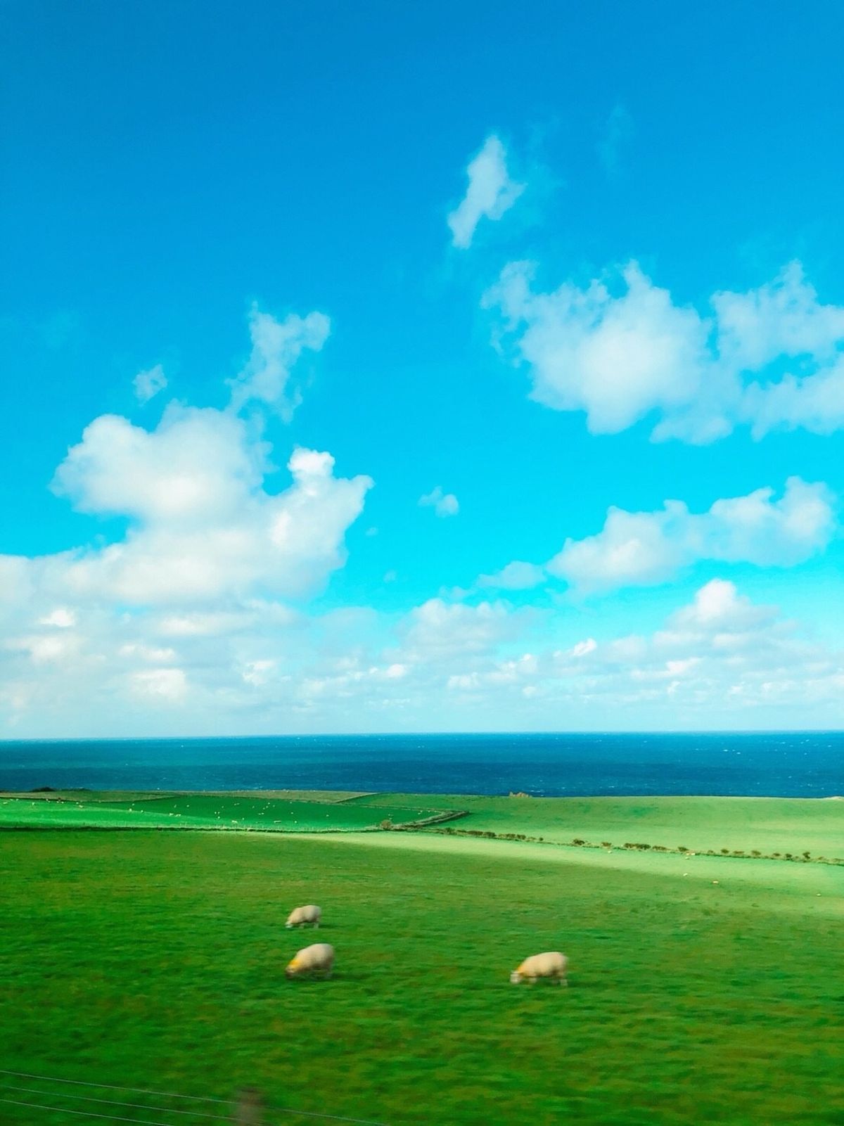 ダンルース城を遠目から眺める。移動中には一生分の虹を見たかも。お酒は飲めな...