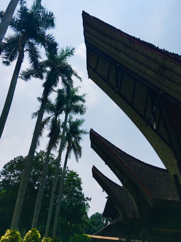 インドネシア・ジョグジャカルタ「Journey to Indonesia 」の写真