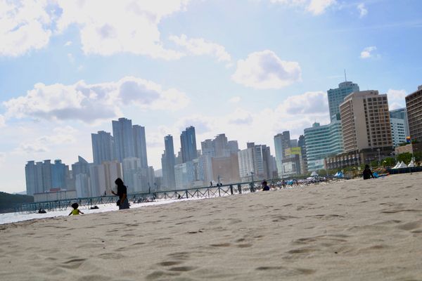 大韓民国 (韓国)・釜山「釜山 短期留学」の写真